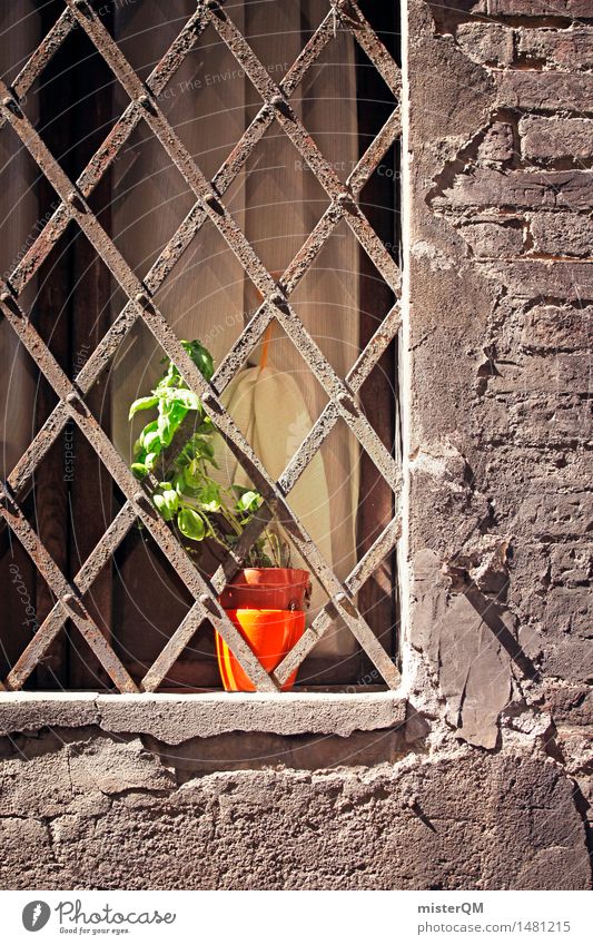 Küchenwürze. Kunst ästhetisch Fenster Basilikum Gitter mediterran dezent Zweite Reihe Fensterbrett Farbfoto mehrfarbig Außenaufnahme Detailaufnahme Experiment