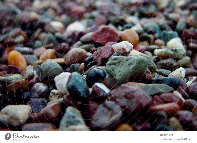 Meer der Steine Makroaufnahme Kieselsteine glänzend Mineralien Farbige Steine Glänzende Steine bunte Kiesel