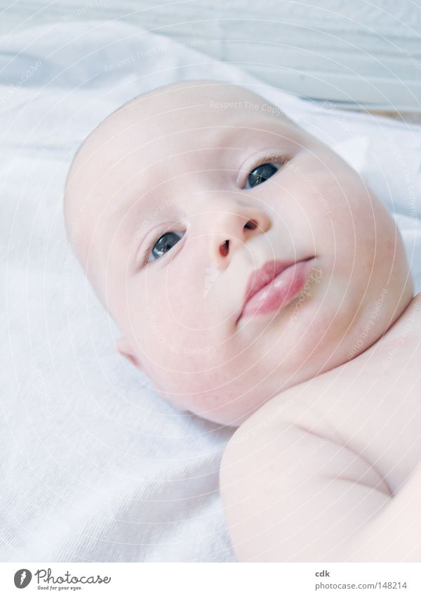 Babyjahre | umsorgt sein. Kleinkind Kind Porträt Blick Gesichtsausdruck Haut Körperfett nackt weiß Leben Liebkosen Wachsamkeit Gelassenheit Zufriedenheit klein