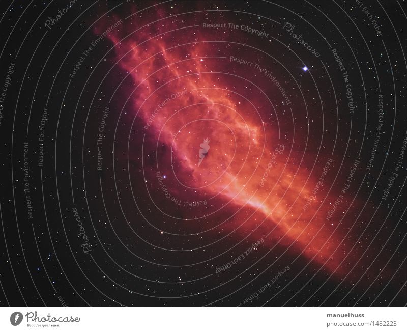 California Nebula Nachthimmel Stern rot Astronomie Astrofotografie Wissenschaften Nebel Weltall Kalifornien Unendlichkeit Teleskop Sternenhimmel Farbfoto