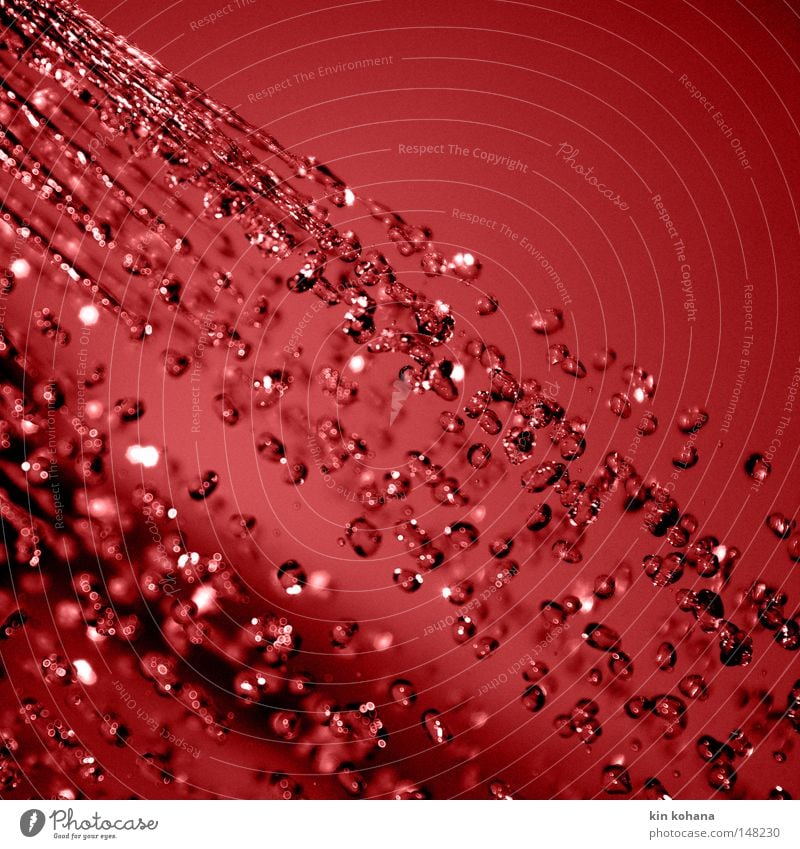temporäre diagonale rot Wasser Wassertropfen Tropfen Strahlung spritzen dunkel intensiv Farbe Vergänglichkeit nass Reflexion & Spiegelung Beleuchtung feucht