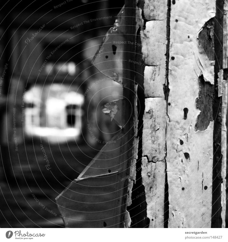 [H 08.2] splatter film Raum Fenster Verfall verlieren Putz Reinigen Fensterrahmen Holz Luft antik Fabrik Leitersprosse hell dunkel Gegenteil schwarz weiß Knauf