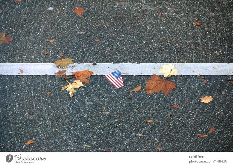 Walk the line USA Stars and Stripes Amerika Fahne Blatt Herbst Linie gerade Linientreue Wirtschaftskrise unten liegen gebraucht Müll Richtung richtungweisend