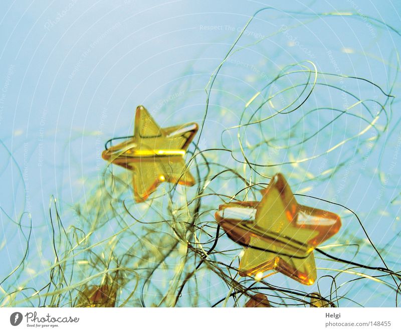 gelbe Glassterne in goldenem Draht vor blauem Hintergrund Stern (Symbol) Weihnachten & Advent Feste & Feiern Dekoration & Verzierung verschönern festlich