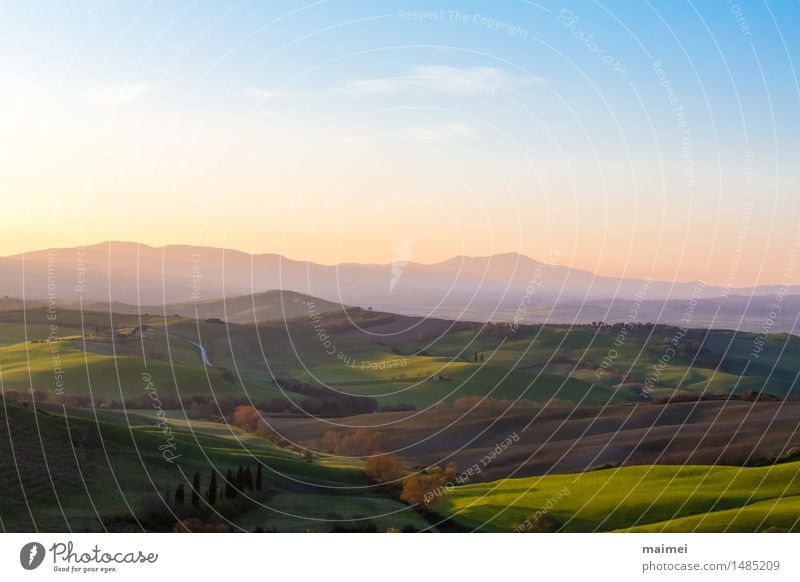 Erstes Sonnenlicht in der Toskana wandern Natur Landschaft Wolken Sonnenaufgang Sonnenuntergang Frühling Schönes Wetter Baum Feld Hügel blau grün Erholung