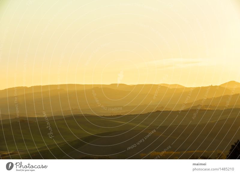 Hügellandschaft der Toskana vor Sonnenaufgang Ferien & Urlaub & Reisen Landschaft Himmel Wolkenloser Himmel Sonnenuntergang Frühling Baum Feld gelb gold grün
