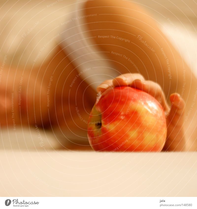 eva Frucht Apfel Ernährung Bioprodukte Diät Gesundheit Frau Erwachsene Arme Hand liegen hell rot friedlich sanft Zärtlichkeiten Sünde Farbfoto Innenaufnahme