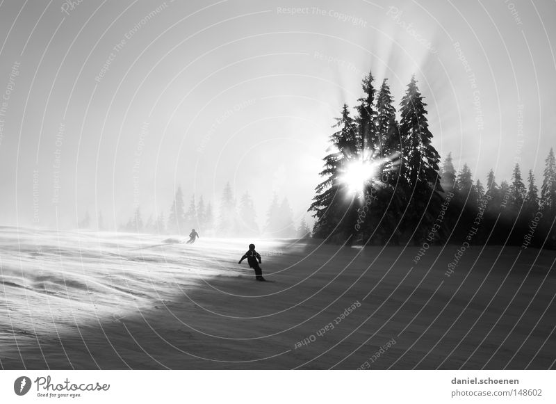 Wintersportweihnachtskarte Skifahren Skipiste Schnee Schwarzwald weiß Tiefschnee Freizeit & Hobby Ferien & Urlaub & Reisen Hintergrundbild Baum Schneelandschaft