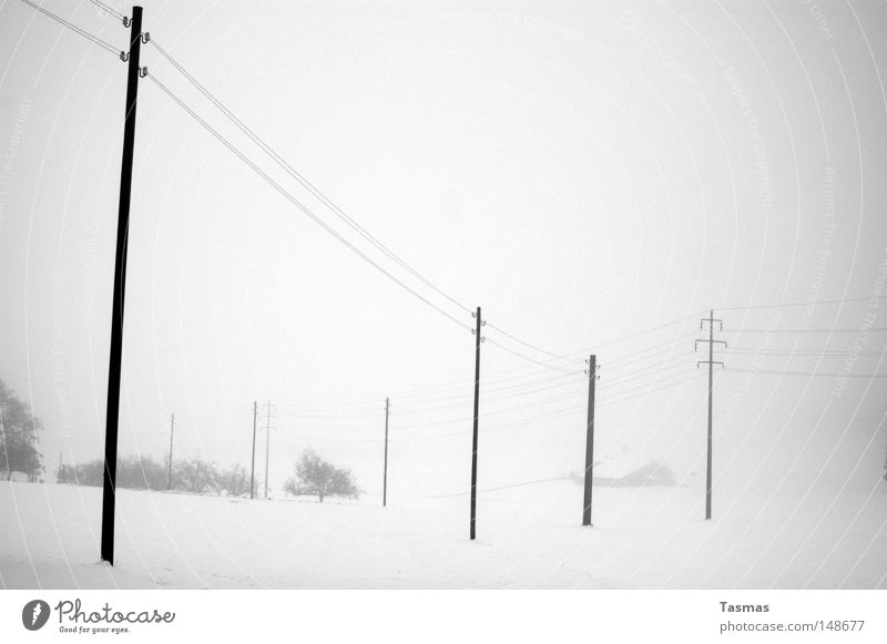 Verschneit Ferne Winter Schnee Nebel trist grau Langeweile Einsamkeit Strommast Telefonmast Hochspannungsleitung verloren zudecken Schneedecke in grau Amerika