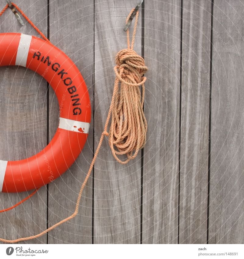 Rettungsring retten Rettungsschwimmer Malibu Schnur Seil Wand Holz Holzwand ertrinken Meer See Angst Panik Sicherheit Hasselhof ertrinkem Wasser