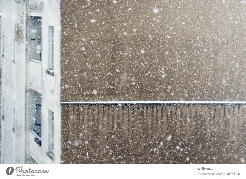 Wildes Treiben auf dem Hinterhof Winter Schnee Schneefall Wand Schneeflocke Schneetreiben Schneegestöber Flockenwirbel winterlich Hausfassade