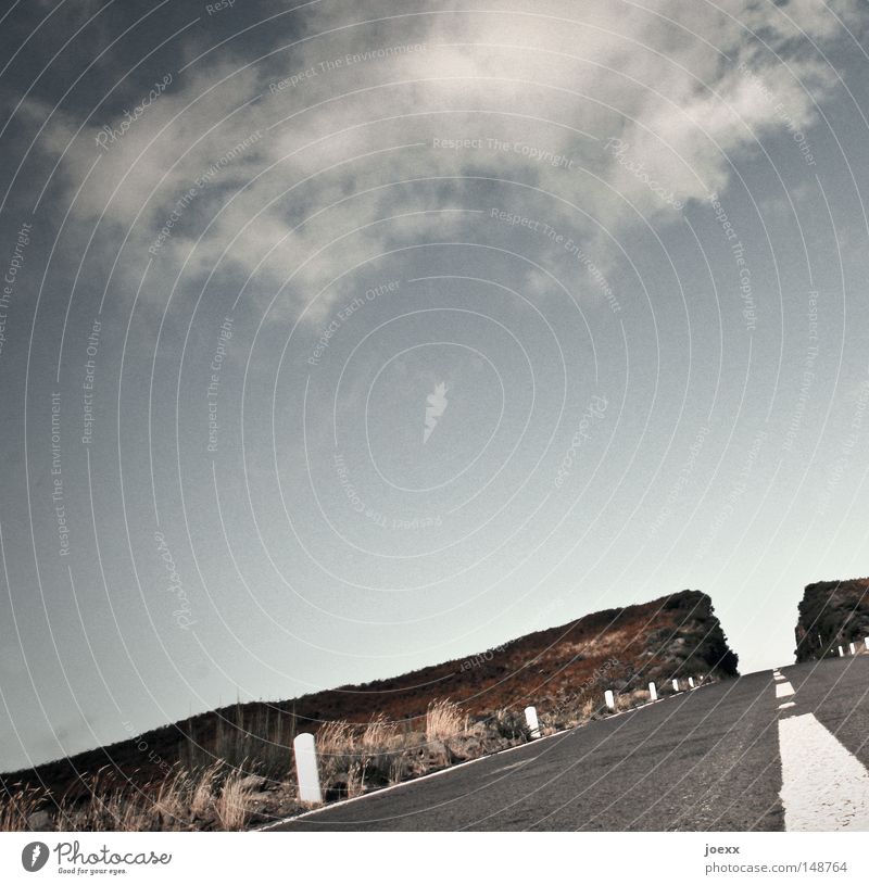 Abteilung Straßenbau Asphalt Straßenverkehr Alm Bergwiese Wolken Sträucher Hügel Fernstraße Gras Grasland grün Himmel Höhe Landstraße Madeira Mittelstreifen