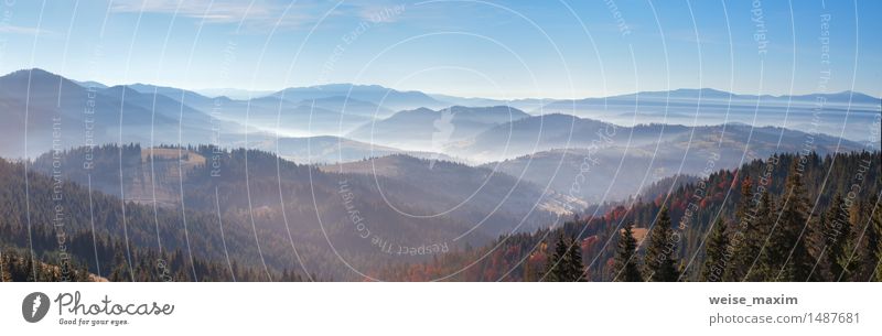Herbstmorgennebel in den Bergen. schön Ferien & Urlaub & Reisen Berge u. Gebirge Natur Landschaft Himmel Schönes Wetter Nebel Wärme Baum Sträucher Wald Hügel