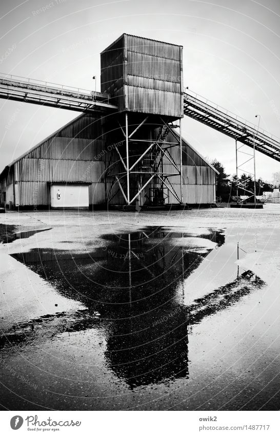 Firma Industrie Industrieanlage Fabrik Bauwerk Gebäude Fassade Wellblechwand Gerüst Förderband Asphalt Pfütze stehen eckig fest groß hoch nass Erfolg Tatkraft