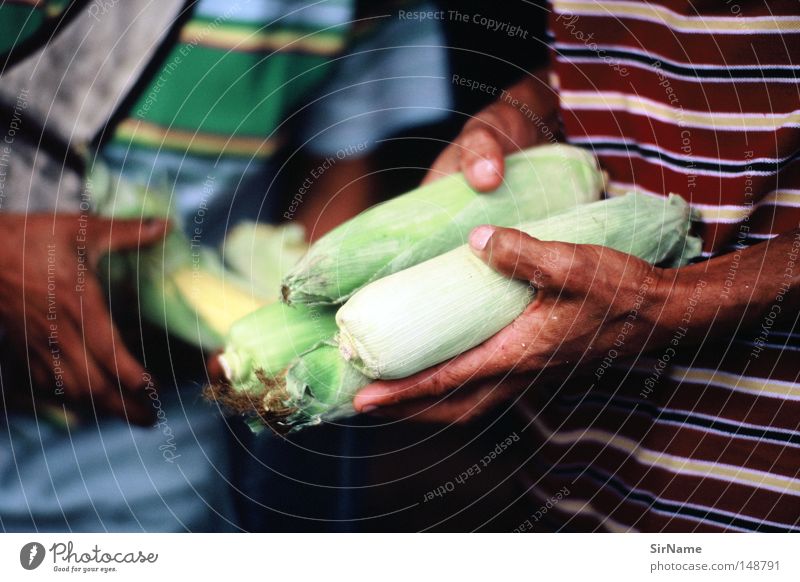 20 [street stories - our daily bread] Lebensmittel Ernährung Bioprodukte Gesundheit Handel Kapitalwirtschaft Arbeitslosigkeit Armut Fairness Moral Maiskolben