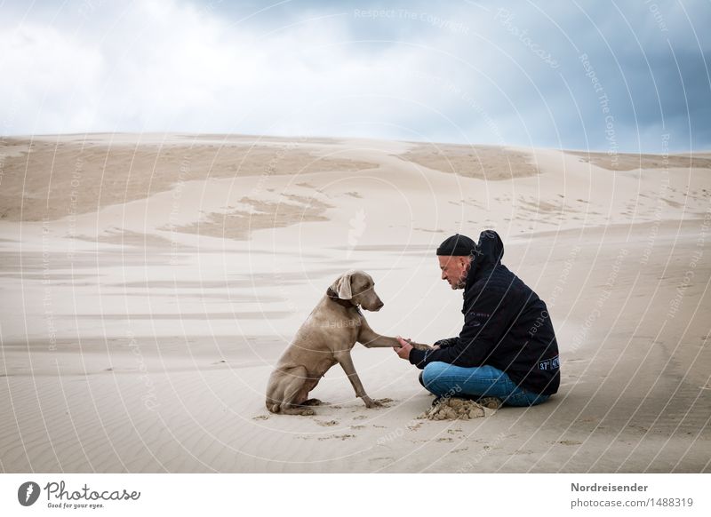 Augenhöhe.... Sinnesorgane Meditation Ferne Mensch Mann Erwachsene Landschaft Urelemente Sand Klima Wüste Tier Hund sitzen Zusammensein Vertrauen Einigkeit