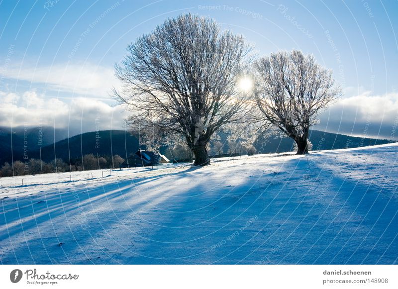 neue Weihnachtskarte 10 Sonnenuntergang Winter Schnee Schwarzwald weiß Tiefschnee Freizeit & Hobby Ferien & Urlaub & Reisen Hintergrundbild Baum