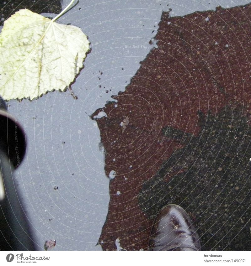 Wenn es regnet nass Blatt Regenschirm Schuhe Stiefel Reflexion & Spiegelung Spiegelbild einweichen Herbst Straße