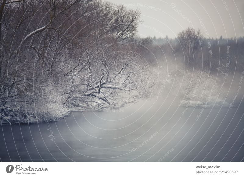 Misty Winter Fluss. Winter Nebel über den Fluss Schnee Natur Landschaft Wasser Wolken Klima Eis Frost Baum Sträucher Wald Küste Svisloch Coolness schön kalt