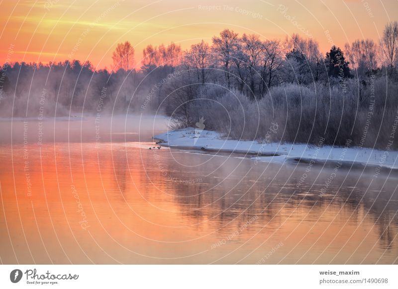 Nebelhafte Winterdämmerung auf dem Fluss. Weißrussland Schnee Winterurlaub Natur Landschaft Wasser Himmel Wolken Eis Frost Baum Sträucher Wald Skyline blau gelb