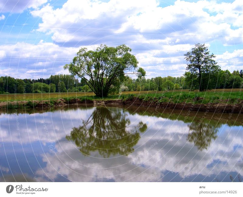 Spiegelung im See Reflexion & Spiegelung Baum Wolken Wasserspiegelung Natur Küste