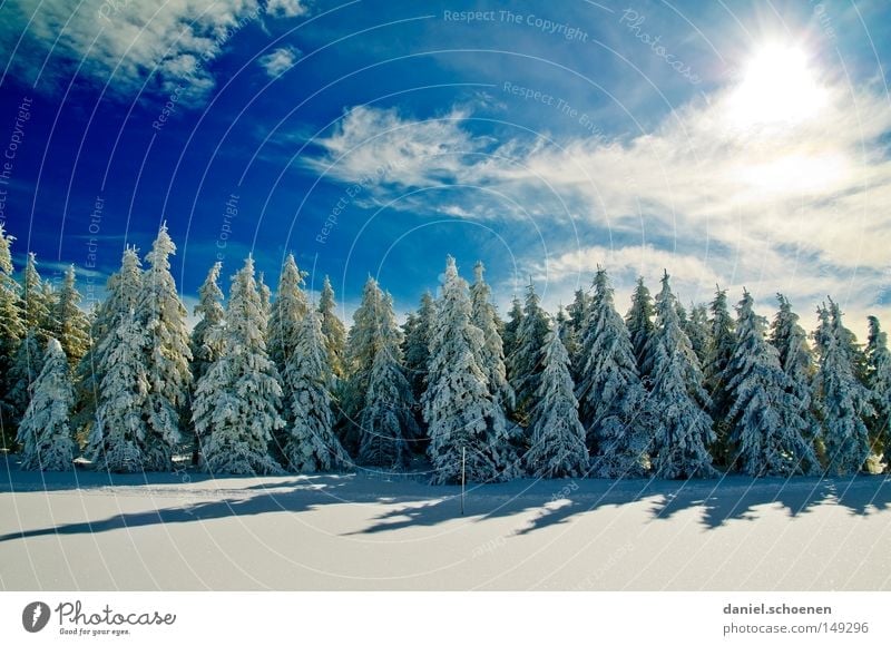 neue Weihnachtskarte 12 Sonne Sonnenstrahlen Winter Schnee Schwarzwald weiß Tiefschnee wandern Freizeit & Hobby Ferien & Urlaub & Reisen Hintergrundbild Baum