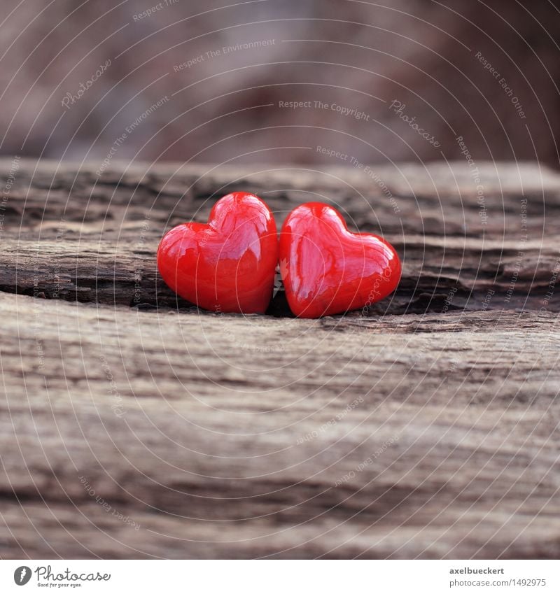 Zwei Herzen Valentinstag Natur Winter Dekoration & Verzierung Kitsch Krimskrams Stein Holz Zeichen Liebe glänzend braun rot Gefühle Sympathie Freundschaft