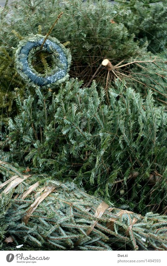 Weihnachtsbäume Entsorgung Weihnachten & Advent Baum dehydrieren alt grün verschwenden Verfall Vergänglichkeit Weihnachtsbaum wegwerfen entsorgen Adventskranz