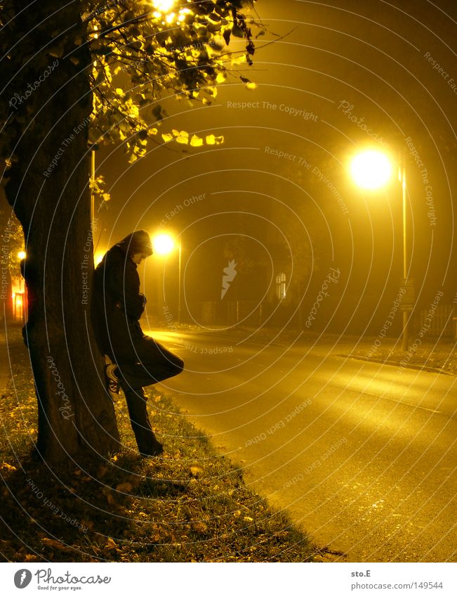 an nebligen tagen Mensch Kerl Körperhaltung stehen Nebel Natur Nacht Abend Straße Asphalt Licht Lampe Laterne gelb Baum Baumstamm Blatt Baumkrone erleuchten