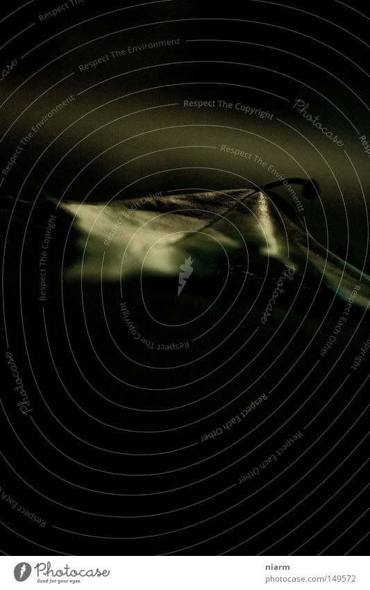 blatt, drumrum dunkel Blatt Herbst getrocknet vertrocknet einfarbig trist Einsamkeit verloren trocken Abend Nacht Unschärfe Leben verweht wehen Eiche Baum welk