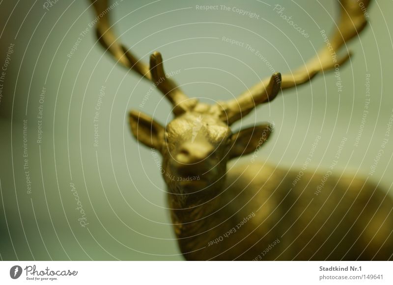 golden reindeer Rentier Gold Horn Nüstern Ohr gespitzt Auge Schnauze Kopf frontal unklar Unschärfe bewegungslos Figur Dekoration & Verzierung Säugetier