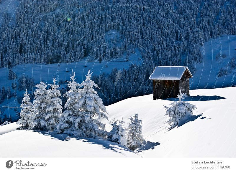 Der erste Schnee - Juche! Fiss Ladis Österreich Park Winter Show Berge u. Gebirge Landschaft Schneelandschaft Bundesland Tirol Tiefschnee Idylle Winterliebe