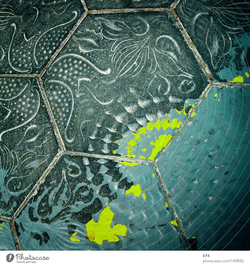 baldosa Fliesen u. Kacheln Bodenbelag Straße gehen treten Sand Farbe Fleck Fuge fossil Meerestier Schnecke Seestern Gemälde Muster maritim mediterran grün