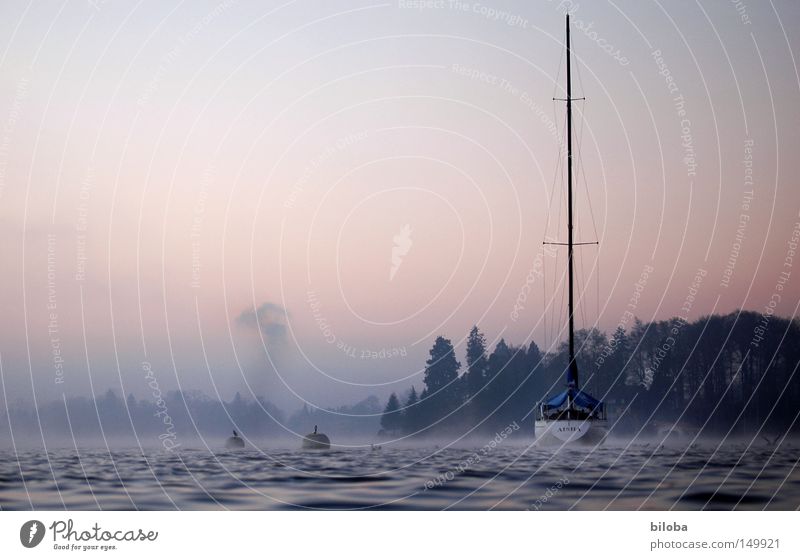 Schiffe versenken! Wasserfahrzeug Segelboot liquide Rauch kalt tief ruhig See Schweiz Wellen Wald Nebel Himmel Stimmung unberührt frei Freiheit harmonisch