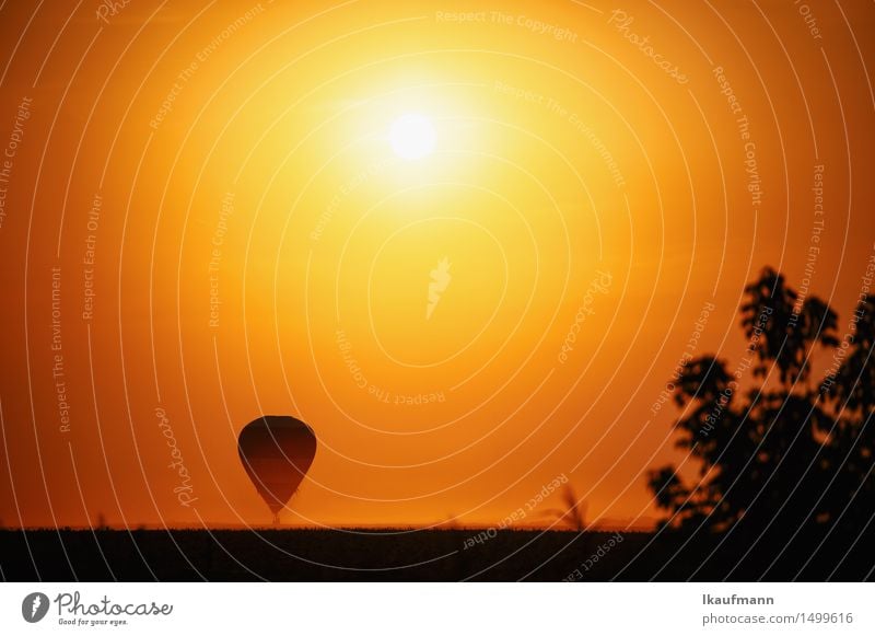Heissluftballon im Sonnenuntergang Abenteuer Ferne Freiheit Luftverkehr Himmel Horizont Sonnenaufgang Klima Schönes Wetter Dürre Fluggerät Ballone fahren