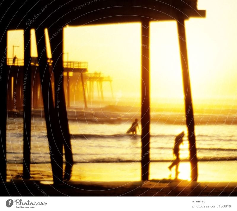 Wellenreiter Wasser Meer Amerika USA Surfen Surfer Sonnenuntergang Anlegestelle Holz Schwimmen & Baden Ferien & Urlaub & Reisen Kalifornien Promenade Licht