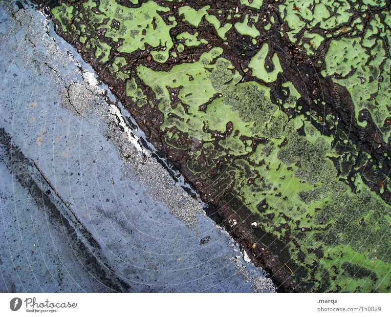 Weathered grün blau quer Linie Strukturen & Formen Muster Streifen Asphalt Straße Verkehrswege Bodenbelag verfallen