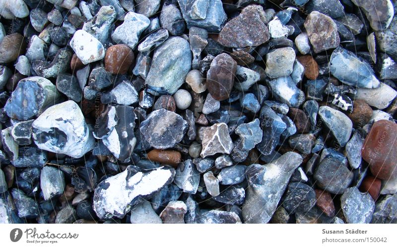 Bodenbelag Stein Kap Arkona Kieselsteine Erde fallen schön Sammlung Rügen eckig rund hart Schmerz steinig Natursteinhaus Steinweg Steingräber Winter kalt Strand