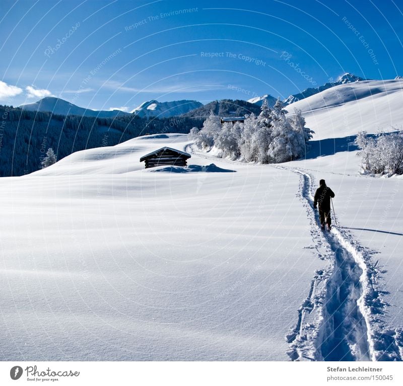 Auf zum Atem! Fiss Ladis Österreich Park Winter Show Berge u. Gebirge Landschaft Schneelandschaft Bundesland Tirol Tiefschnee Idylle Winterliebe Wintertag