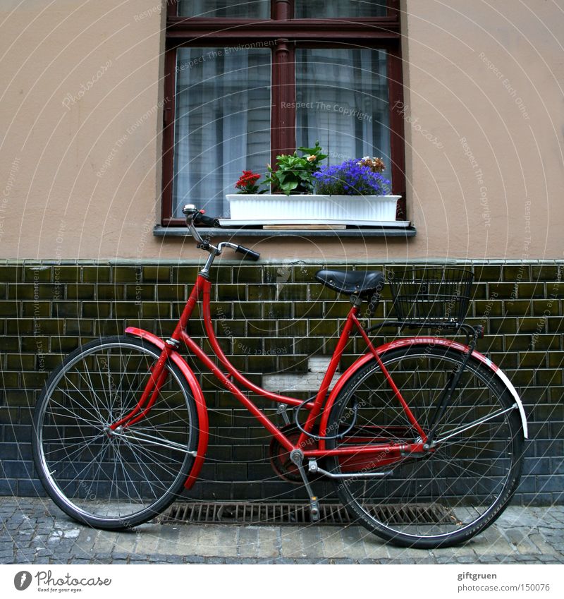 abgestellt Fahrrad parken Parkplatz Fenster Blume Blumenkasten Hausmauer Straße Detailaufnahme Verkehr anlehnen parterre erdgeschoß