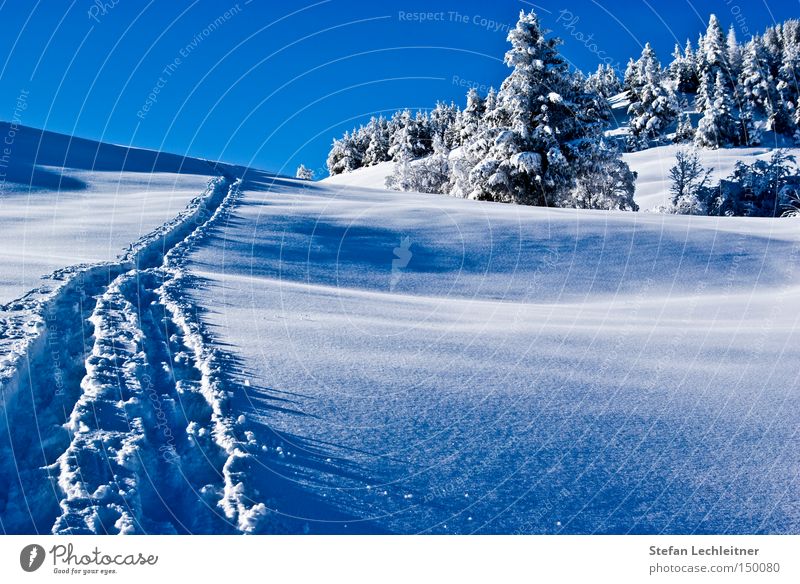 Spuren im Schnee Österreich Winter Berge u. Gebirge Schneelandschaft Bundesland Tirol Tiefschnee Winterwald Schneespur serfaus Skiort Winterdorf unberührt Natur