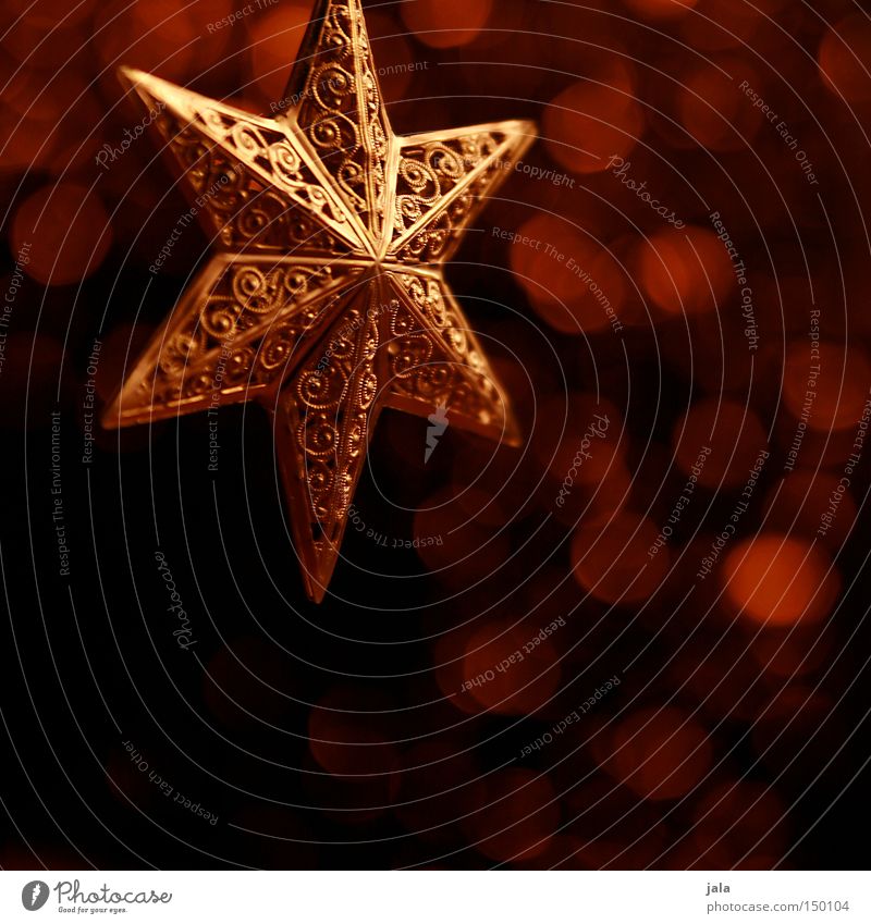 One*Star*Story Zufriedenheit Winter Dekoration & Verzierung Lampe Weihnachten & Advent Gold glänzend rot Hintergrundbild Dezember Beleuchtung Stern (Symbol)