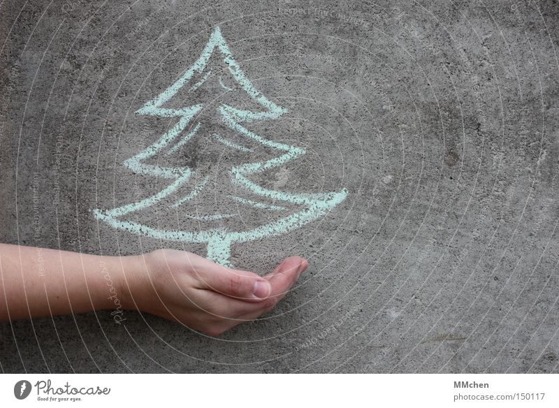 VorFreude Tanne Weihnachtsbaum Kreide Wand Hand Weihnachten & Advent Feste & Feiern Geschenk schenken geben Almosen imaginary