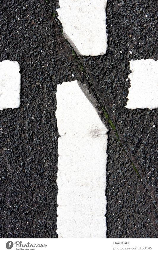 Kreuzschnitt Asphalt Straße Leben Trennung Buchstaben Linie Streifen rau Schriftzeichen Verkehrswege Moral Rücken Tod Haarschnitt Bodenbelag