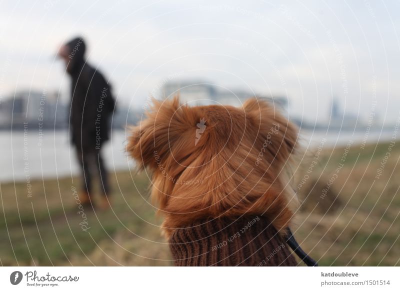 have in mind Hund beobachten genießen hocken Jagd Blick sitzen lernen kalt kuschlig Akzeptanz Vertrauen Sicherheit Schutz Verantwortung achtsam Wachsamkeit