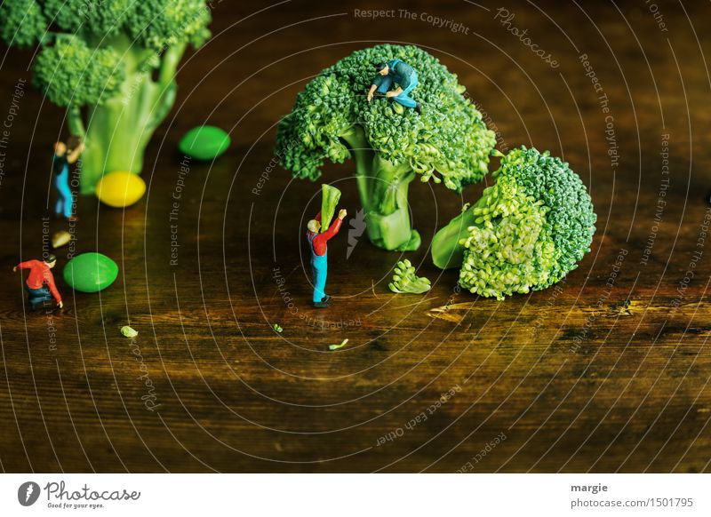 Miniwelten - Brokkoli Ernte Lebensmittel Gemüse Frucht Ernährung Picknick Bioprodukte Vegetarische Ernährung Arbeit & Erwerbstätigkeit Gartenarbeit Arbeitsplatz