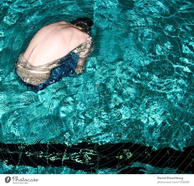 Treibgut Wasser Schwimmbad türkis tauchen Körper Schwimmen & Baden 1 Mensch einzeln Ein Mann allein Männerkörper Männerrücken Männeroberkörper Wasseroberfläche
