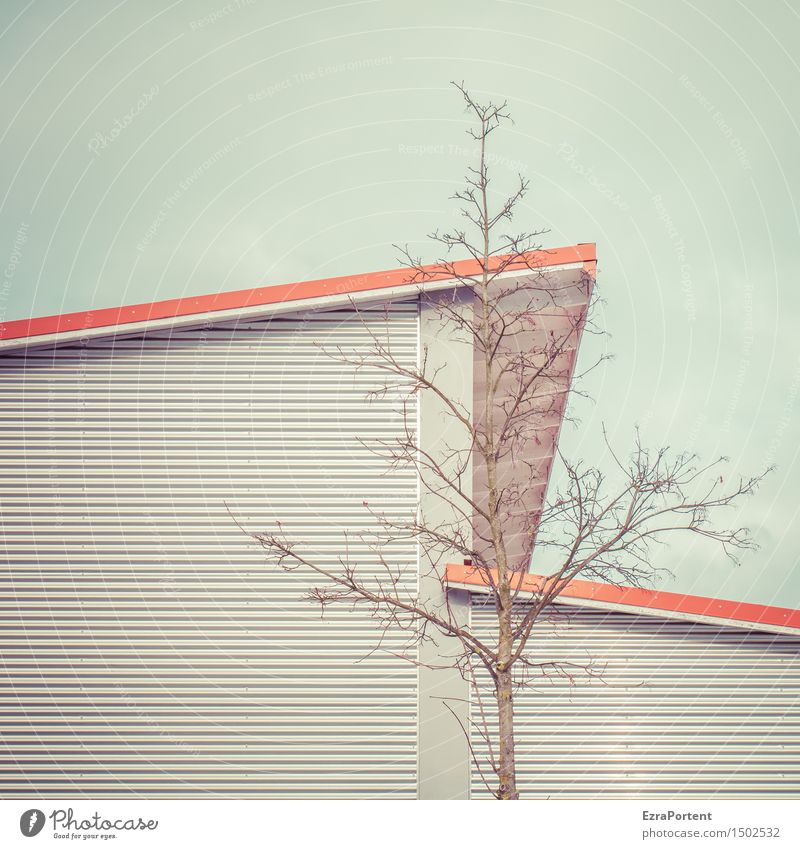 . Himmel Baum Haus Bauwerk Gebäude Architektur Fassade Dach Holz Metall Stahl Linie Streifen kalt nackt blau grau rot Design Gegenteil Grafische Darstellung