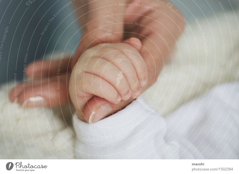 für immer verbunden Mensch Kind Baby Kleinkind Frau Erwachsene Finger 1 2 0-12 Monate Gefühle Stimmung Mutter Nachkommen Mutterliebe Liebe Verbundenheit