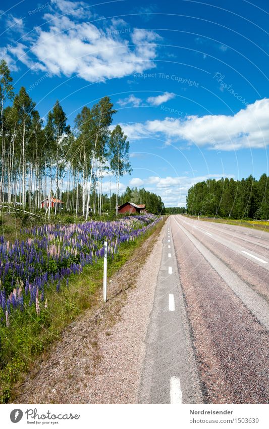 Värmland Ferien & Urlaub & Reisen Landschaft Sommer Schönes Wetter Baum Blume Dorf Haus Einfamilienhaus Gebäude Architektur Verkehr Straße Freundlichkeit